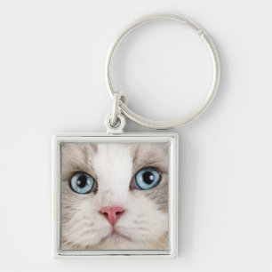 Chaveiro Foto Cat