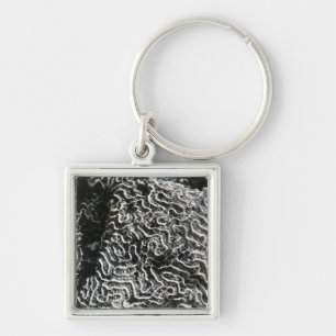 Chaveiro Foto da natureza do Abstrato Black and White Coral