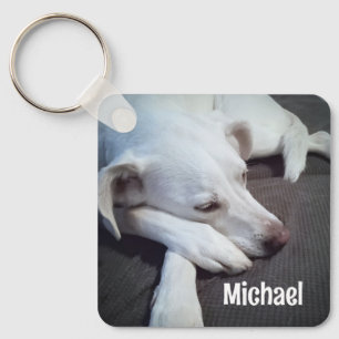 Chaveiro Foto de Cachorro com Nome Personalizado de Pinças 