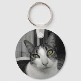 Chaveiro Foto de Gato Branco Preto