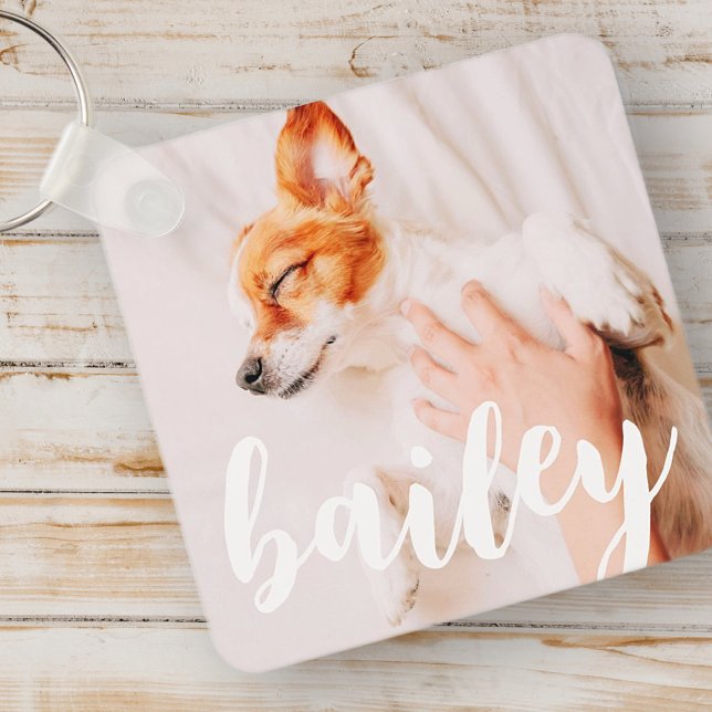 Chaveiro Foto de Pet Simples Elegante Reprodutiva Moderna (Criador carregado)