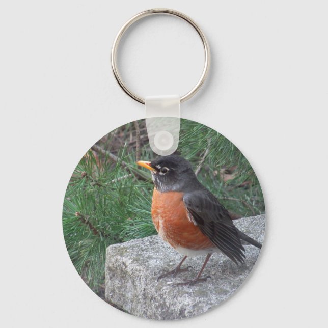 Chaveiro Foto de Robin em Jardim (Frente)