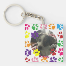 Foto e nome personalizados do Pet