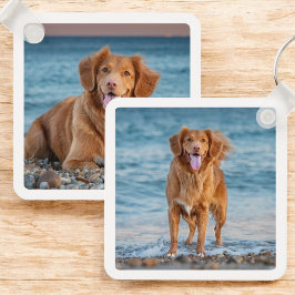 Chaveiro Foto personalizada de Pet por trevo personalizado
