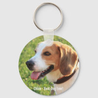 Foto personalizada do cão beagle e nome do cão