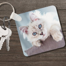 Foto personalizada do Pet do Cat Lover