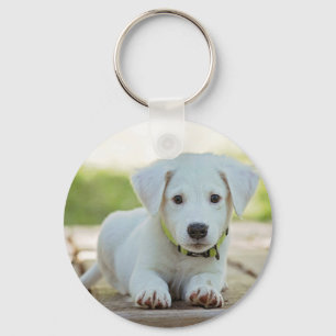Chaveiro Foto personalizada Pet