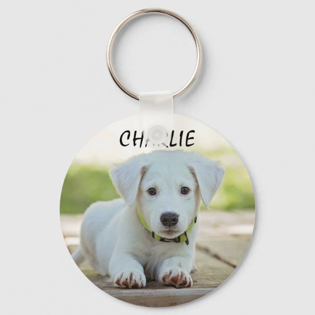 Chaveiro Foto personalizada Pet (Frente)