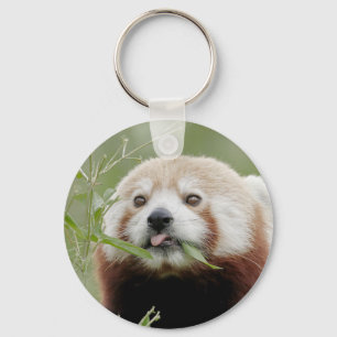 chaveiro Foto vermelha panda, animais 0325.