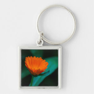 Chaveiro Fotografia da Flor Margarida Laranja