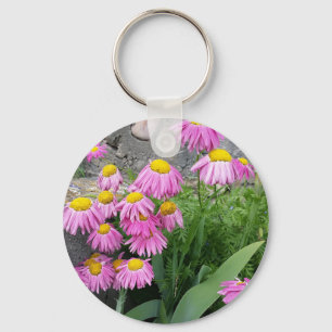 Chaveiro Fotografia da natureza: Daisy Flowers Pintado Rosa