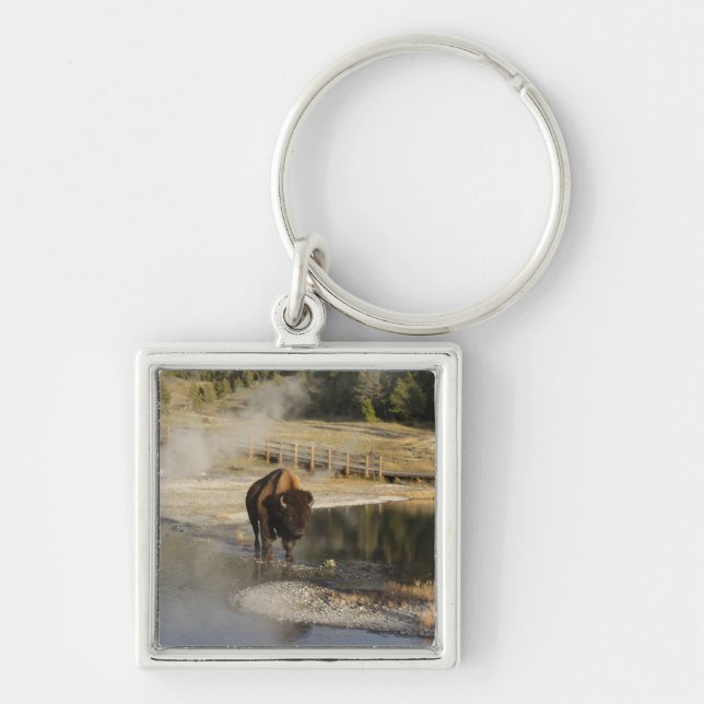 Chaveiro Fotografia da vida selvagem Bison Yellowstone (Frente)