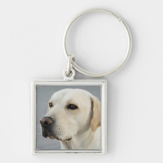 Chaveiro Fotografia dourada de labrador retriever (Frente)