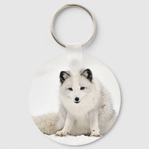 Chaveiro Fox ártico na neve