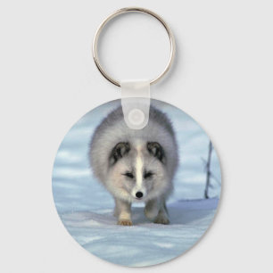 Chaveiro Fox ártico na neve