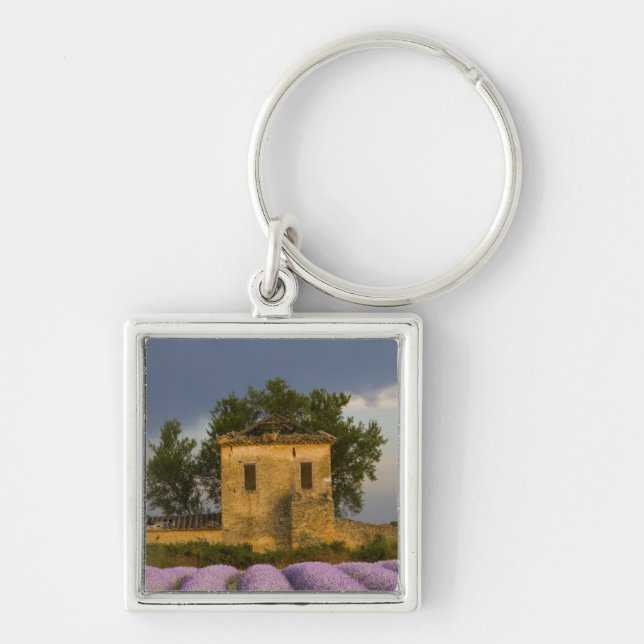 Chaveiro França, Provença. Campo de lavanda e (Frente)