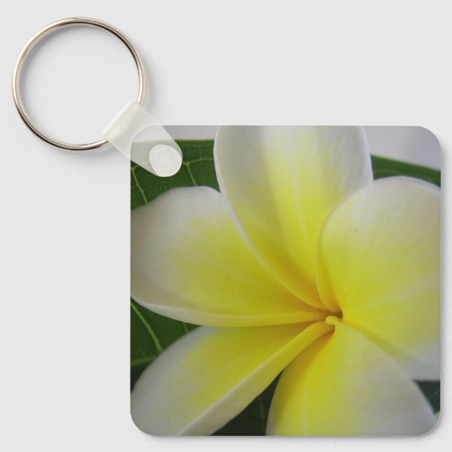 Chaveiro Frangipani Amarelo e Branco (Frente)