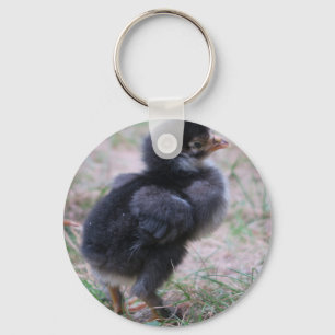 Chaveiro frango, pintinhos, galinhas, pintinhos, animais, a