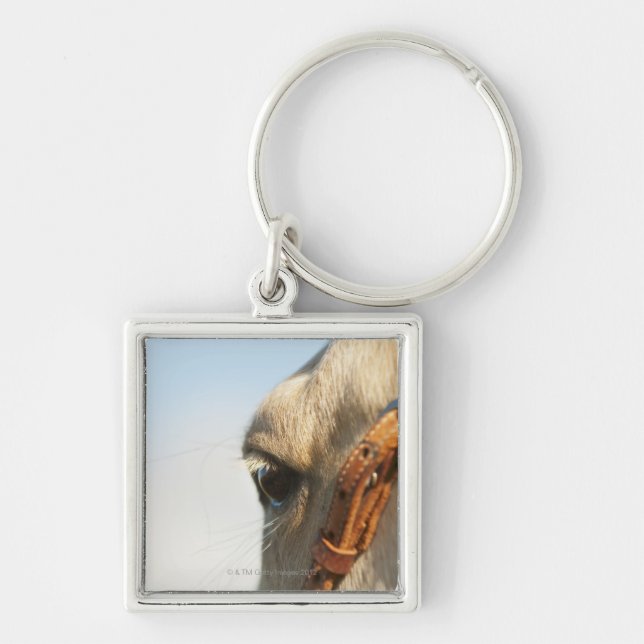 Chaveiro Freio do cavalo (Frente)