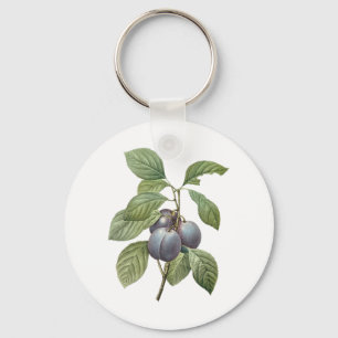 Chaveiro Frutas Alimentícias Antigas, Ameixas de Jardim Rox
