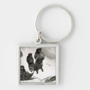 Chaveiro Fuegians que vai trocar em Zapallos