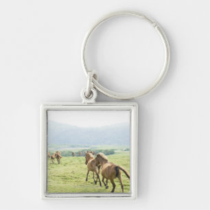 Chaveiro Funcionamento dos cavalos