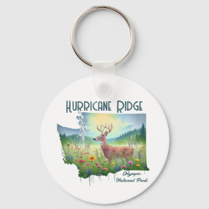 Chaveiro Furacão Ridge National Park Souvenir Gift