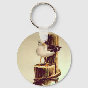 Chaveiro GAIVOTA do ANCIÃO por SHARON SHARPE