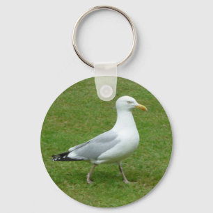 Chaveiro Gaivota que anda no parque