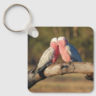 Chaveiro Galahs Rosa
