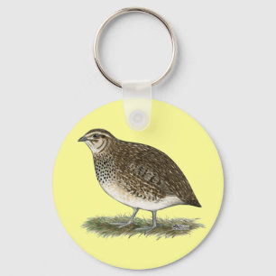 Chaveiro Galinha das codorniz do Coturnix