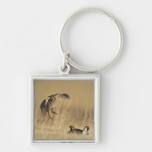 Chaveiro Galinhas da pradaria masculina no Condado de Loup