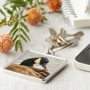 Chaveiro Ganso de Canadá no lago