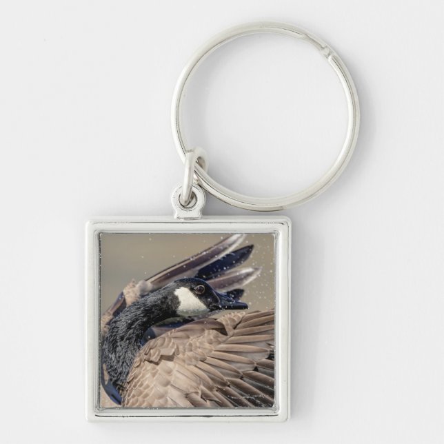 Chaveiro Ganso do Canadá (Frente)