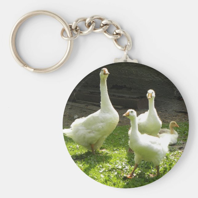 Chaveiro Ganso Ucraniano (Frente)