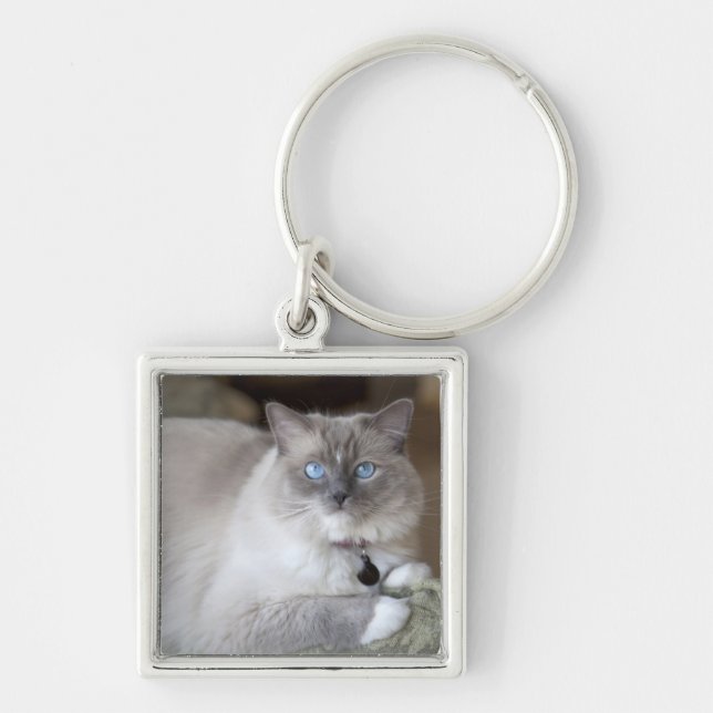 Chaveiro Gata Ragdoll fêmea (Frente)