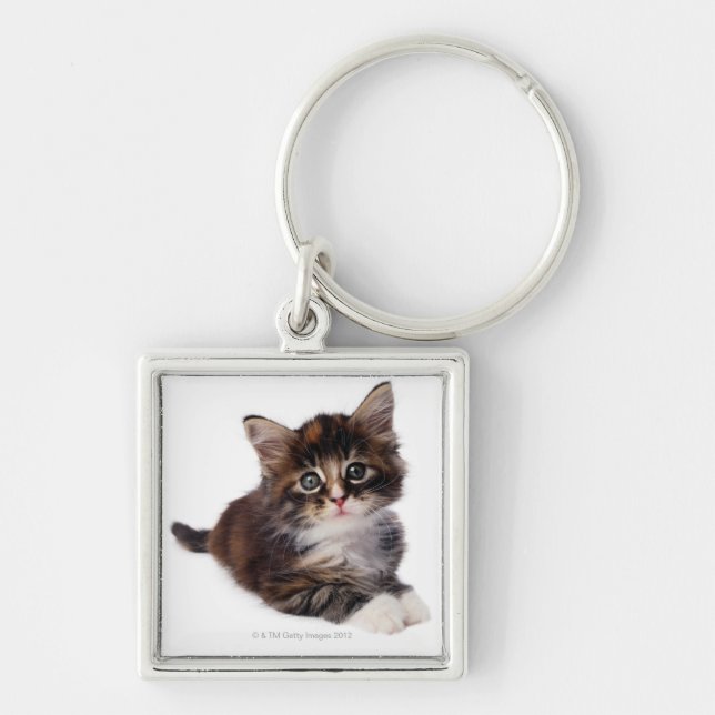 Chaveiro Gatinho (Frente)