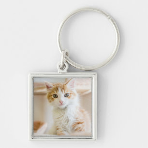 Chaveiro Gatinho alaranjado & branco