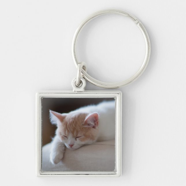 Chaveiro Gatinho bege e branco cansado (Frente)