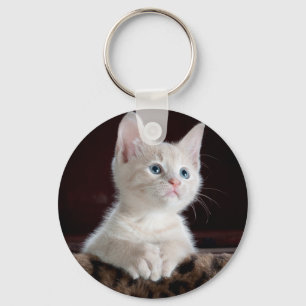 Chaveiro Gatinho branco super bonito