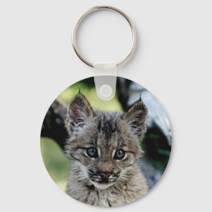 Chaveiro Gatinho canadense do lince