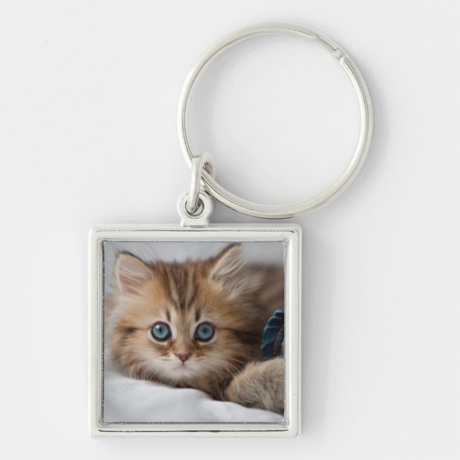 Chaveiro Gatinho com olhos azuis (Frente)