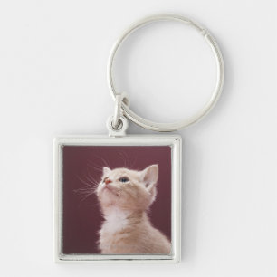 Chaveiro Gatinho com suiças