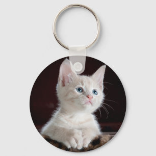 Chaveiro Gatinho curioso