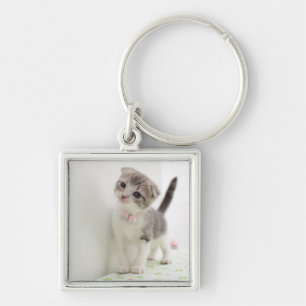 Chaveiro Gatinho da dobra do Scottish