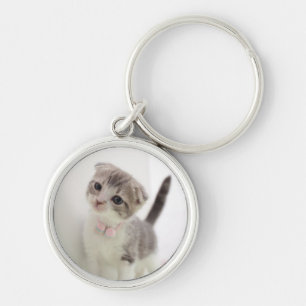 Chaveiro Gatinho da dobra do Scottish