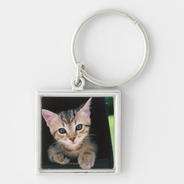 Chaveiro Gatinho dentro da caixa postal (Frente)