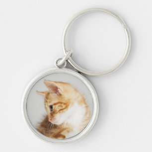 Chaveiro Gatinho do gengibre