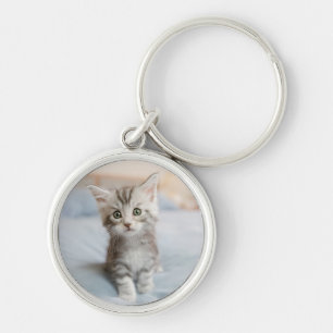 Chaveiro Gatinho do racum de Maine