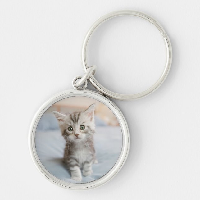 Chaveiro Gatinho do racum de Maine (Frente)